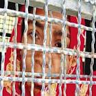 The Death Throes of Pakistan’s Hindus