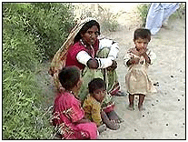 Hindus feel the heat in Pakistan