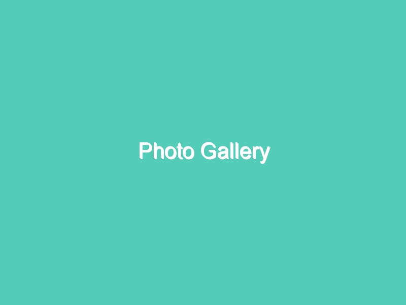 Photo Gallery