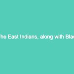 The East Indians, along with Black Afro-Caribbeans (“West Indians”), one of the two major ethnic groups in Trinidad and Tobago, Guyana and Suriname     ( Part – 2 )