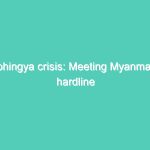 Rohingya crisis: Meeting Myanmar’s hardline Buddhist monks – BBC News