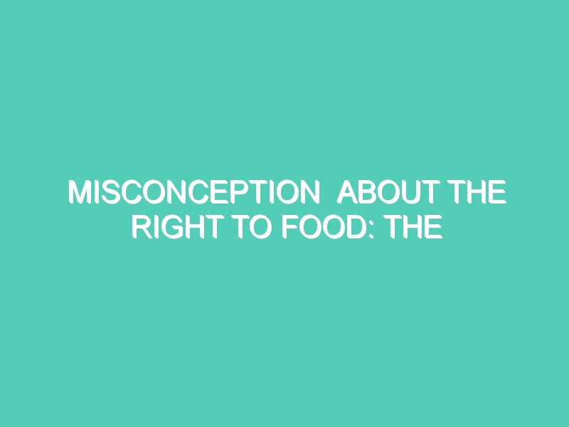 MISCONCEPTION  ABOUT THE RIGHT TO FOOD: THE CONCEPT OF A RIGHT TO FOOD IS TOO THEORETICAL–IT IS FOOD, NOT THE RIGHT TO FOOD, THAT IS NEEDED